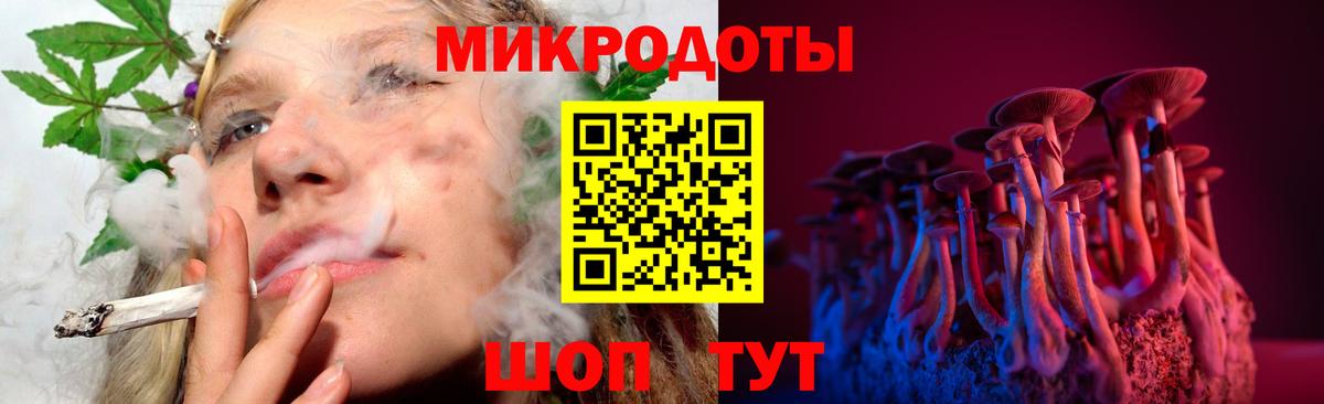 Кумертау  Галлюциногенные грибы Psilocybe  Вход с VPN 